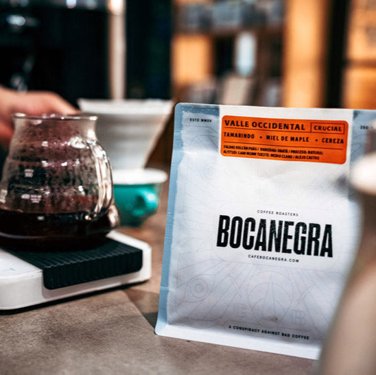 Bocanegra single origin coffee beans with V60 pour over brewing setup at Rolling Waves Coffee Nosara