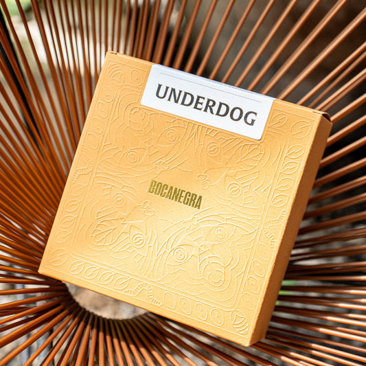 Coffee Spotlight: Underdog Geisha from Tarrazu | Rolling Waves - Nosara, Costa Rica