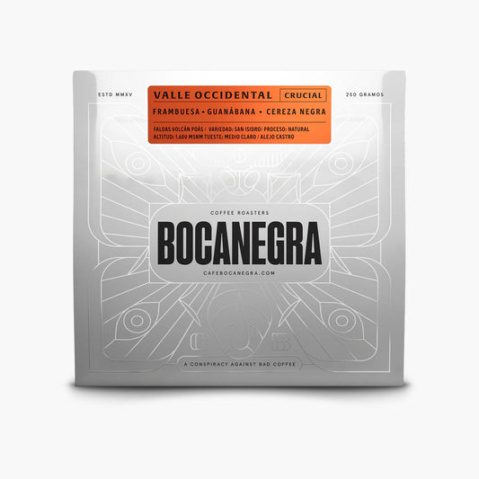 SINGLE ORIGIN Faldas Volcan Poas (Valle Occidental) - Natural Process